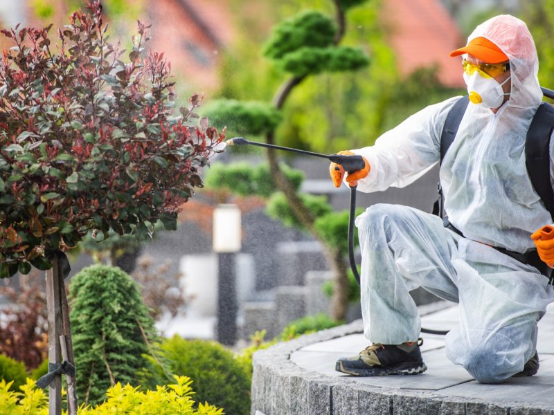 Sason Haşere İlaçlama